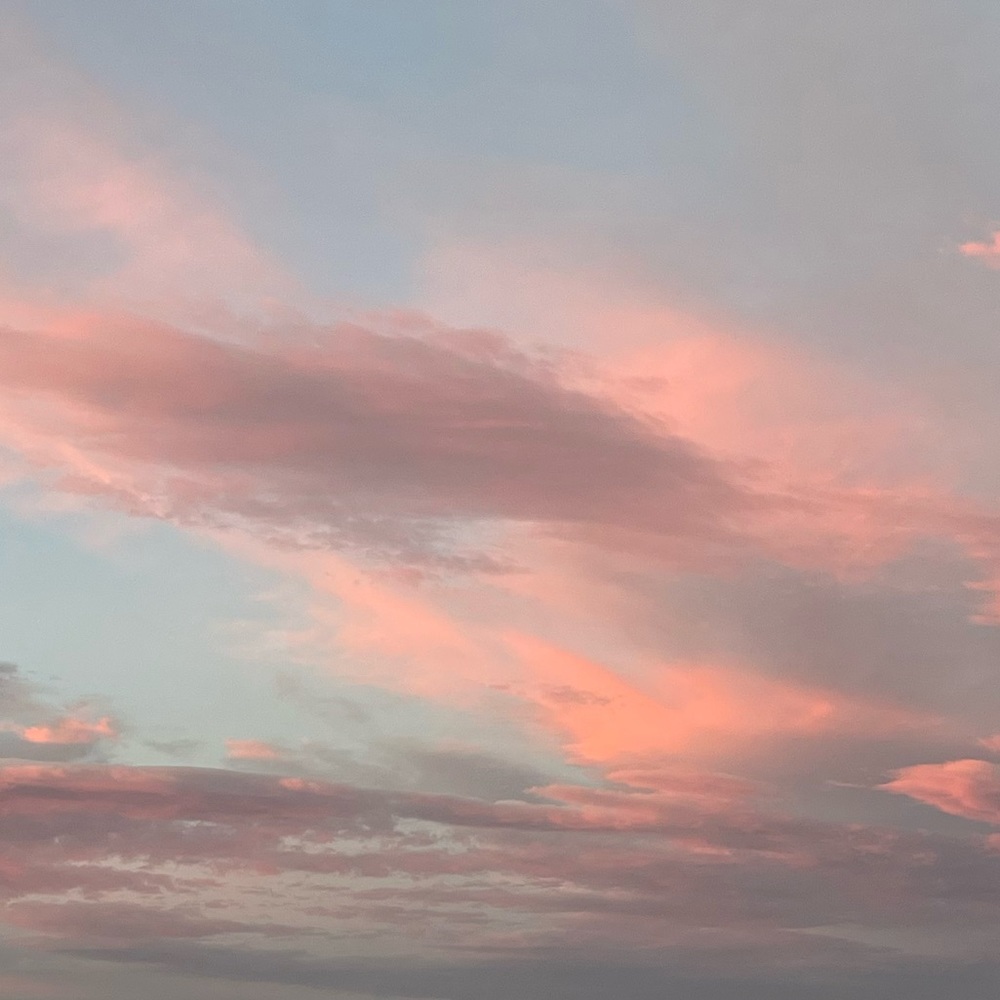 Meet your Posher, Ela